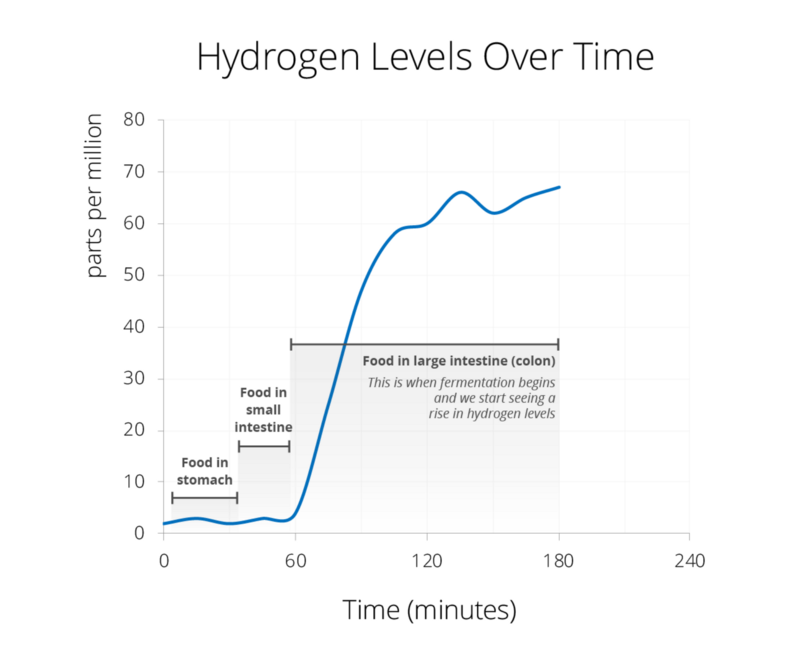 The stages of a hydrogen increase during a hydrogen breath test.