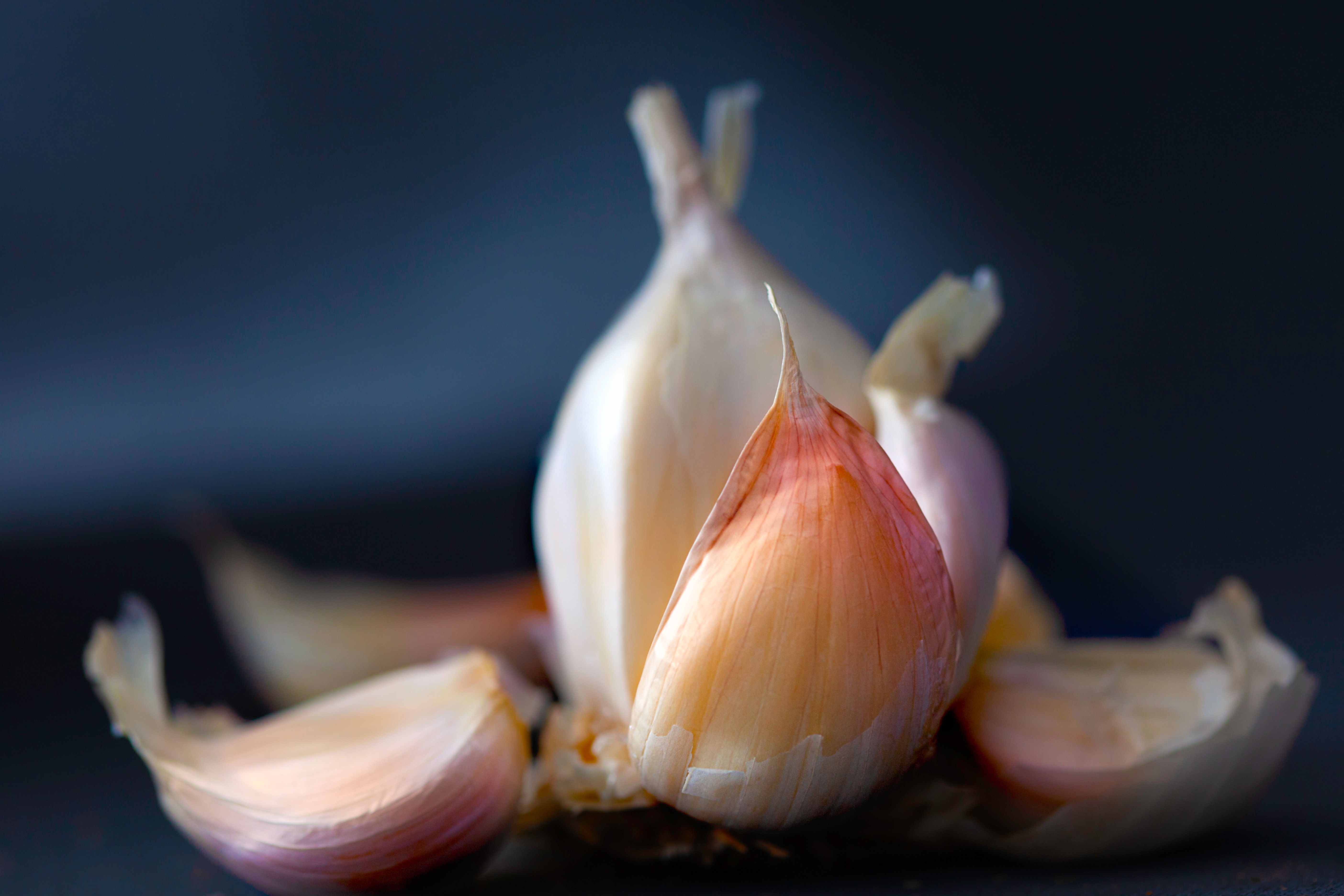 Close up of garlic