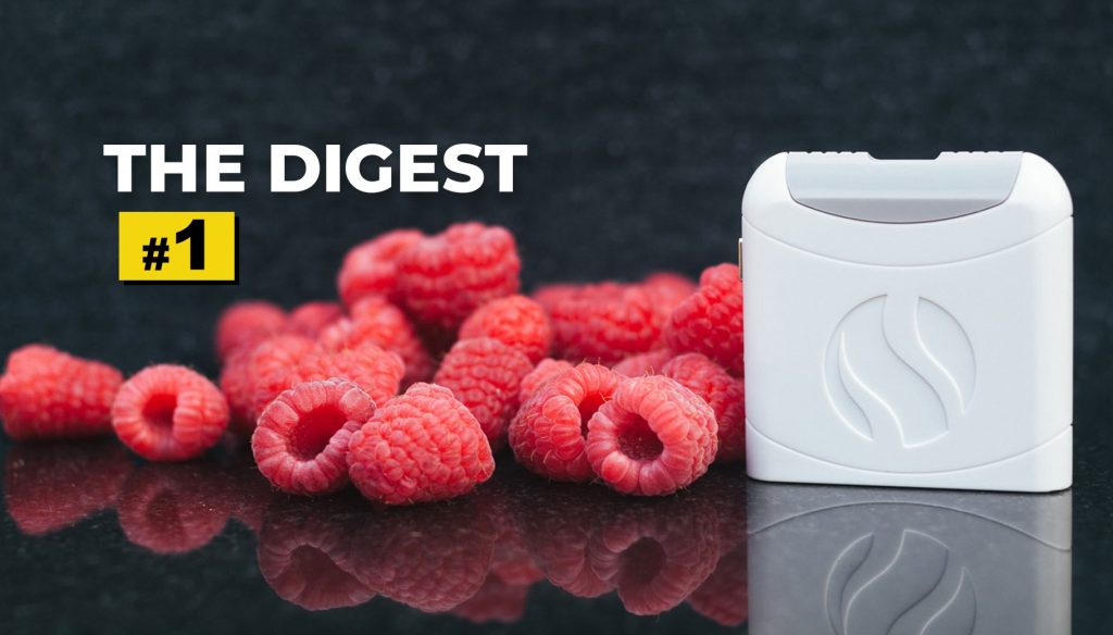The Digest number 1 header image - AIRE with raspberries