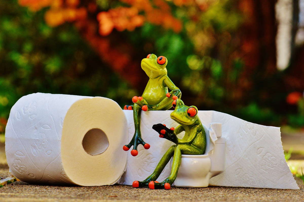 Two Ceramic Frogs sitting on Toilet Paper